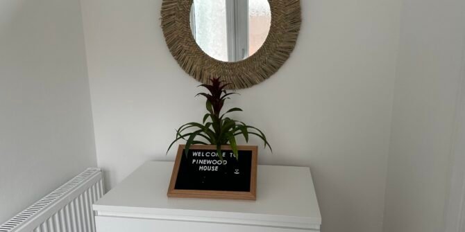 pinewood-6-670x335